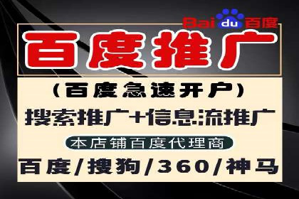 百度推广公司案例研究：揭秘电商行业爆款打造秘诀